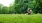 residents sit on grass in park clearing